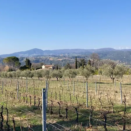 Le Giuncaie - Vigna Con Séjour à la ferme *
