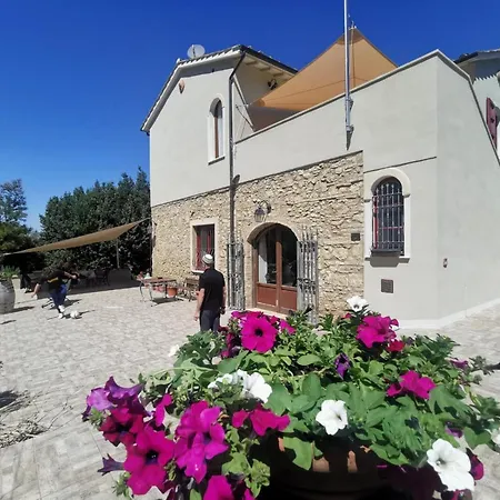 Le Giuncaie - Vigna Con *