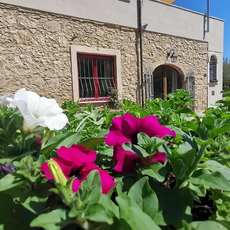 Le Giuncaie - Vigna Con *