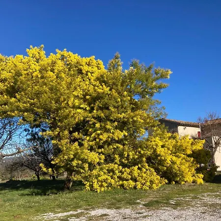 Le Giuncaie - Vigna Con Séjour à la ferme *