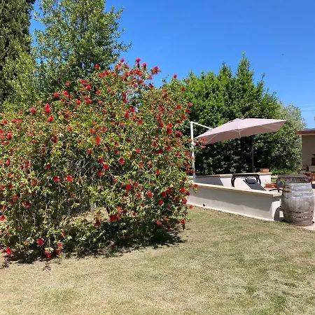 Le Giuncaie - Vigna Con * Montescudaio