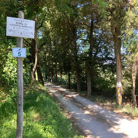 Le Giuncaie - Vigna Con *