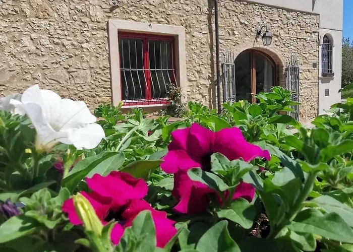 Le Giuncaie - Vigna Con *